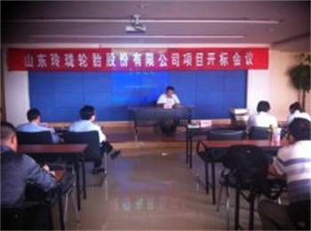 山東玲瓏輪胎股份有限公司項目開標