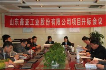 山東鑫亞工業股份有限公司項目