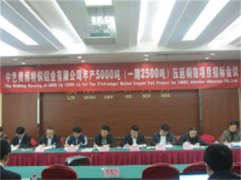 中色奧博特銅鋁業有限公司項目