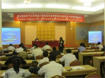 南山鋁業年產20萬噸超大規格高性