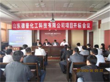 山東德普化工科技有限公司項目